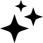 Shiny icon