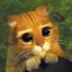 Sad eyes puss n boots