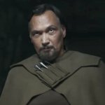 Bail Organa Eyebrow