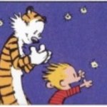 Calvin and Hobbes chase fireflies meme