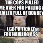 Smudge that darn cat | THE COPS PULLED ME OVER FOR PULLING A TRAILER FULL OF DONKEYS; I GOT A TICKET FOR HAULING A$$ | image tagged in smudge that darn cat | made w/ Imgflip meme maker