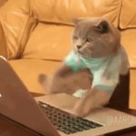 test GIF Template