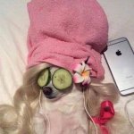 dog spa