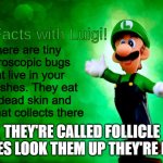 you'll never look at your eyelashes the same way again | There are tiny microscopic bugs that live in your eyelashes. They eat the dead skin and dust that collects there; THEY'RE CALLED FOLLICLE MITES LOOK THEM UP THEY'RE REAL | image tagged in fun facts with luigi,fun facts | made w/ Imgflip meme maker