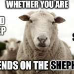 When Good Flocks Go BaaaaaD | OR BAD SHEEP; WHETHER YOU ARE; GOOD SHEEP; DEPENDS ON THE SHEPHERD; SHEPHERD | image tagged in sheep,followers,baaa,memes,sheeple,wake up | made w/ Imgflip meme maker