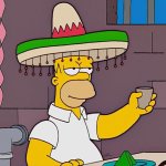 Homer sombrero