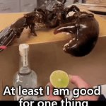 When you have one talent | At least I am good 
for one thing | image tagged in gifs,talent,good for something,squeeze,lobster | made w/ Imgflip video-to-gif maker