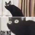 mr.meow meow template