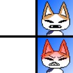 Catto Boi Normal/Angry meme