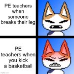 they hate it | PE teachers when someone breaks their leg; PE teachers when you kick a basketball | image tagged in catto boi normal/angry,school,teacher,angry | made w/ Imgflip meme maker