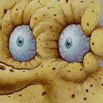 Dry SpongeBob