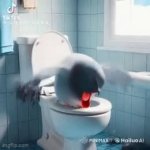 鳩 meme