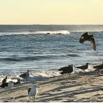 Jones Beach