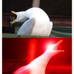 Inhaling Seagull