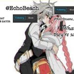 EchoBeach and InsanePerson shared temp :3 meme