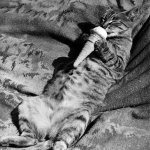 Chilling