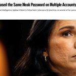 Tulsi Gabbard, US director of national Stupidity