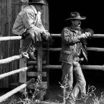 cowboys