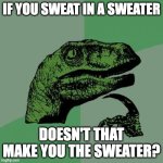 Dino meme | IF YOU SWEAT IN A SWEATER; DOESN'T THAT MAKE YOU THE SWEATER? | image tagged in memes,philosoraptor | made w/ Imgflip meme maker