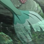 mermaid's fins