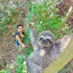 SLOTH KAM 2