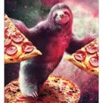SLOTH KAM 3