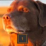 The most pleasant surprise for an imgflip user | image tagged in i'm cooked,funny,relatable,imgflip users | made w/ Imgflip meme maker