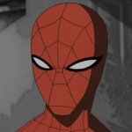 Spider Judge