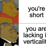 i r verticaly challanged | you're short; you are lacking in verticality | image tagged in memes,tuxedo winnie the pooh | made w/ Imgflip meme maker