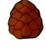 Pinecone