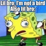 IM SPONGEBOB | Lil bro: I’m not a bird
Also lil bro: | image tagged in memes,mocking spongebob | made w/ Imgflip meme maker