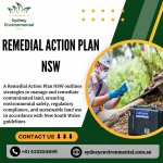 Remedial Action Plan NSW