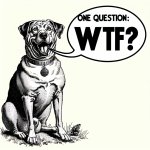 dog saying "one question: wtf?"