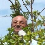 Dogan