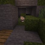 Minecraft Raccoon