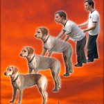 Man to dog