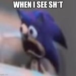 Traumatised Sonic | WHEN I SEE SH*T | image tagged in traumatised sonic | made w/ Imgflip meme maker
