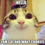 Cat | HELLO... I AM CAT AND WANT COOKIES | image tagged in memes,smiling cat | made w/ Imgflip meme maker