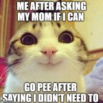 Smiling Cat | ME AFTER ASKING MY MOM IF I CAN; GO PEE AFTER SAYING I DIDN'T NEED TO | image tagged in memes,smiling cat | made w/ Imgflip meme maker