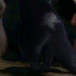 Stella's sexy butt