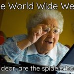 New Yet Classic Memes: Really, Grandma? ^-^ | The World Wide Web? Oh dear, are the spiders back? | image tagged in memes,grandma finds the internet | made w/ Imgflip meme maker