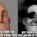 New Yet Classic Memes: Bee-Hives | WHEN YOU TRIM THE BRANCHES OF YOUR TREE; BUT THERE'S A HORNETS' NEST ON ONE OF THE BRANCHES | image tagged in traumatized mr incredible | made w/ Imgflip meme maker