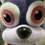 Bonnie says