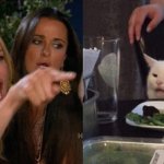 Real Housewives woman yelling, cat at table