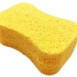sponge