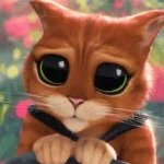 Dropdownmedic GIF Template