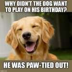 Happy Dog | WHY DIDN'T THE DOG WANT TO PLAY ON HIS BIRTHDAY? HE WAS PAW-TIED OUT! | image tagged in happy dog | made w/ Imgflip meme maker