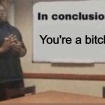 TLDR | You're a bitch | image tagged in in conclusion | made w/ Imgflip meme maker