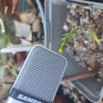 Tiny flower interview