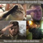 National Lost Sock Memorial Day | National Lost Sock Memorial Day; You were with us for such a short time | image tagged in sad salute,lost sock,memorial,oh wow are you actually reading these tags | made w/ Imgflip meme maker